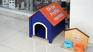Profilo'dan sokak hayvanlarına destek