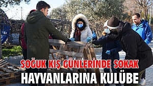 Soğuk kış günlerinde sokak hayvanlarına kulübe
