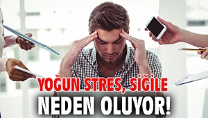 Yoğun stres, siğile neden oluyor!