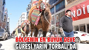 Bölgenin en büyük deve güreşi yarın Torbalı’da