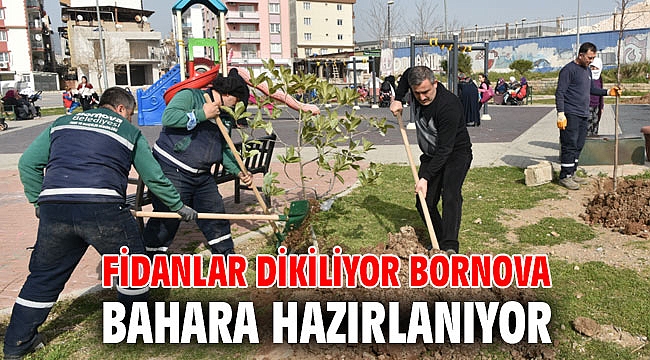 Fidanlar dikiliyor Bornova bahara hazırlanıyor