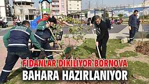 Fidanlar dikiliyor Bornova bahara hazırlanıyor