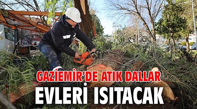 Gaziemir’de atık dallar evleri ısıtacak