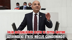 İklim değişikliğinin zeytin ve zeytin üretimi üzerindeki etkisi Meclis gündeminde! 
