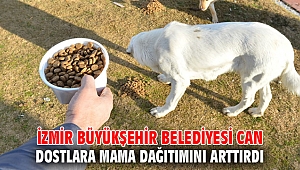 İzmir Büyükşehir Belediyesi can dostlara mama dağıtımını arttırdı