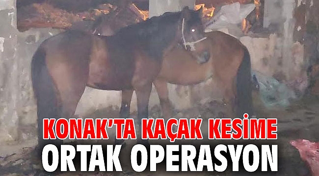 Konak’ta kaçak kesime Ortak operasyon