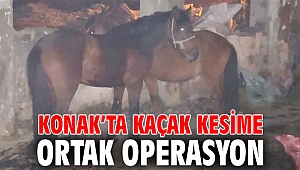 Konak’ta kaçak kesime Ortak operasyon