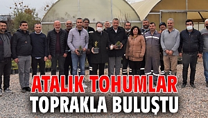 Atalık tohumlar toprakla buluştu