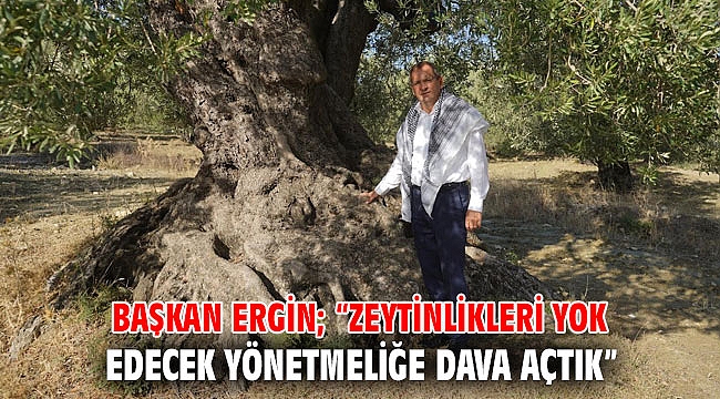 BAŞKAN ERGİN; “ZEYTİNLİKLERİ YOK EDECEK YÖNETMELİĞE DAVA AÇTIK”