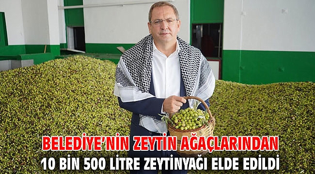 BELEDİYE’NİN ZEYTİN AĞAÇLARINDAN 10 BİN 500 LİTRE ZEYTİNYAĞI ELDE EDİLDİ