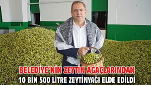 BELEDİYE’NİN ZEYTİN AĞAÇLARINDAN 10 BİN 500 LİTRE ZEYTİNYAĞI ELDE EDİLDİ