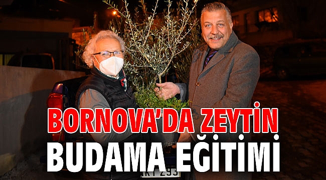 Bornova’da Zeytin Budama Eğitimi