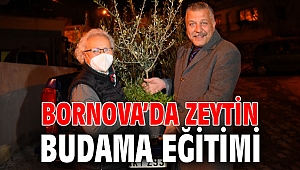 Bornova’da Zeytin Budama Eğitimi