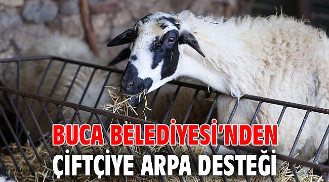 Buca Belediyesi’nden çiftçiye arpa desteği