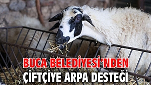 Buca Belediyesi’nden çiftçiye arpa desteği