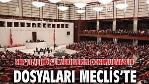 CHP’li ve HDP’li vekillerin dokunulmazlık dosyaları Meclis’te