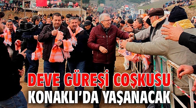 Deve güreşi coşkusu Konaklı’da yaşanacak
