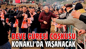 Deve güreşi coşkusu Konaklı’da yaşanacak 