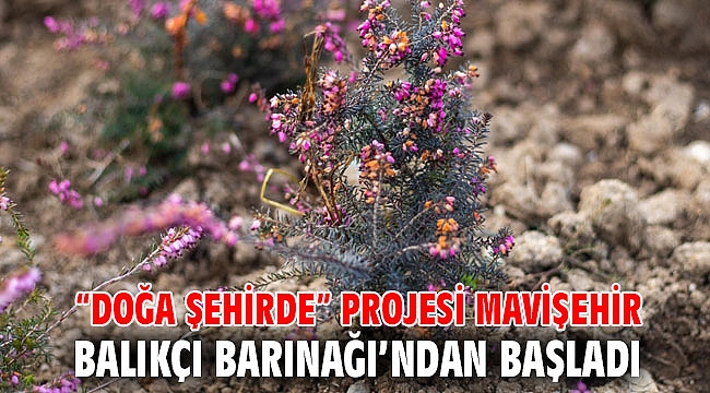 “Doğa Şehirde” projesi Mavişehir Balıkçı Barınağı’ndan başladı