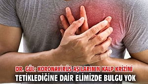 Dr. Gül: Koronavirüs aşılarının kalp krizini tetiklediğine dair elimizde bulgu yok