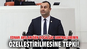 Ednan Arslan'dan doğalgaz santrallerinin özelleştirilmesine tepki!