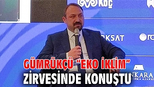 Gümrükçü “Eko İklim” Zirvesinde Konuştu