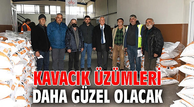 Kavacık üzümleri daha güzel olacak