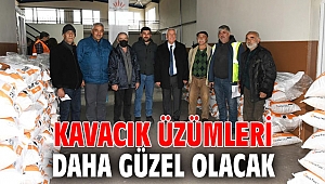 Kavacık üzümleri daha güzel olacak