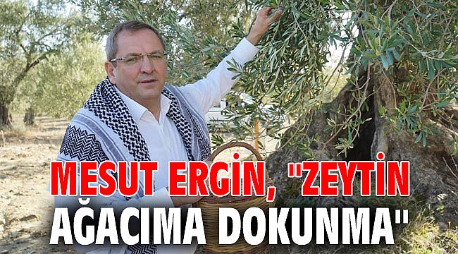MESUT ERGİN,