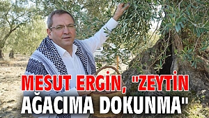 MESUT ERGİN, 