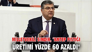 Milletvekili Sındır, “Antep fıstığı üretimi yüzde 60 azaldı