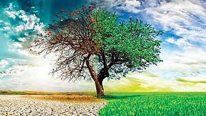 Online bağış uygulaması için yerel yönetimlere çağrı