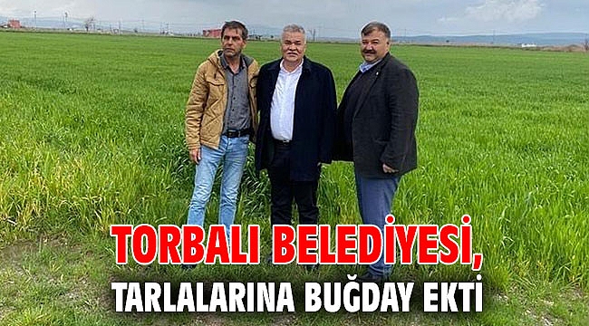Torbalı Belediyesi, tarlalarına buğday ekti