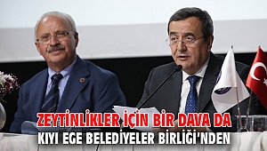 Zeytinlikler için bir dava da Kıyı Ege Belediyeler Birliği’nden