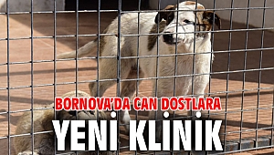 Bornova’da can dostlara yeni klinik