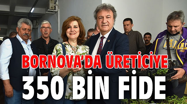 Bornova’da üreticiye 350 bin fide