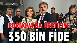 Bornova’da üreticiye 350 bin fide