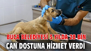  Buca Belediyesi 3 yılda 28 bin can dostuna hizmet verdi