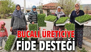 Bucalı üreticiye fide desteği