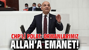 CHP’li POLAT: ORMANLARIMIZ ALLAH’A EMANET!