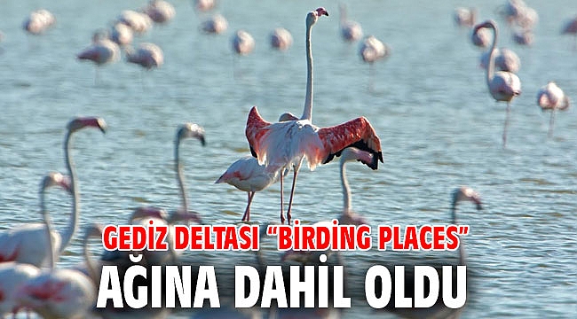 Gediz Deltası “Birding Places” Ağına Dahil Oldu