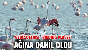 Gediz Deltası “Birding Places” Ağına Dahil Oldu