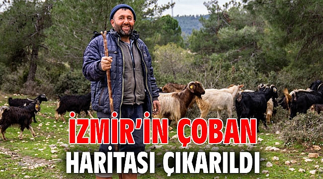 İzmir’in Çoban Haritası çıkarıldı