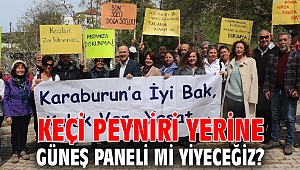Keçi Peyniri Yerine Güneş Paneli mi Yiyeceğiz? 
