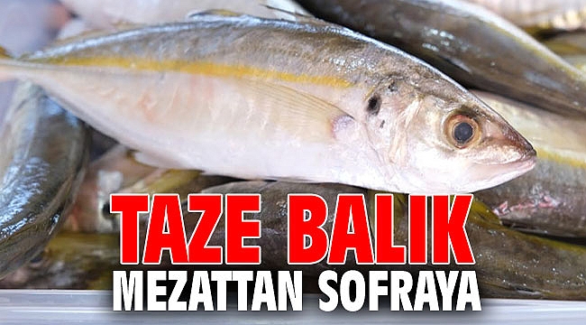 TAZE BALIK MEZATTAN SOFRAYA