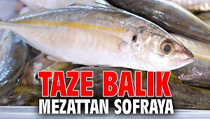TAZE BALIK MEZATTAN SOFRAYA