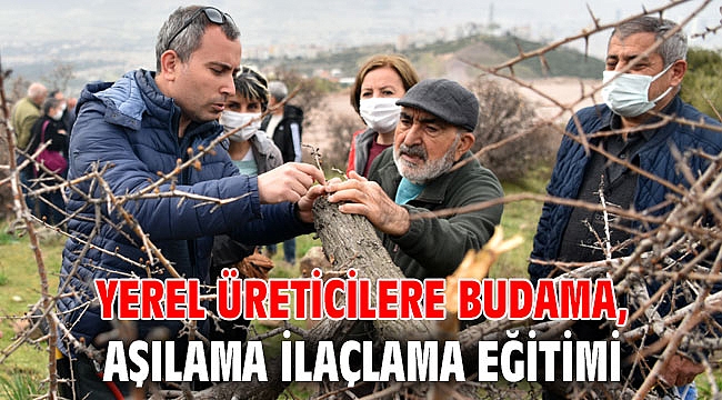Yerel üreticilere budama, aşılama ilaçlama eğitimi