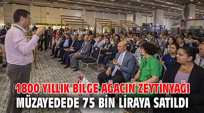 1800 yıllık bilge ağacın zeytinyağı müzayedede 75 bin liraya satıldı