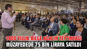 1800 yıllık bilge ağacın zeytinyağı müzayedede 75 bin liraya satıldı