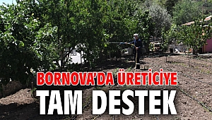 Bornova’da üreticiye tam destek